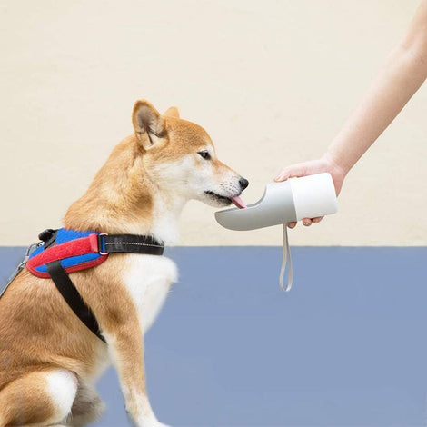 Instachew Rover Pet Water Bottle