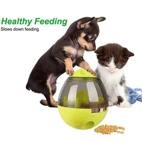 Pet Food Dispenser Tumbler